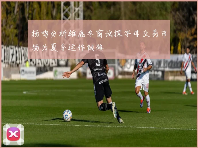 杨鸣分析雄鹿冬窗试探字母交易市场为夏季运作铺路